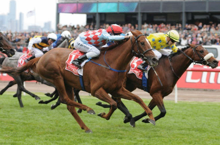 How to Read a Horse Racing Form Guide Like a Pro