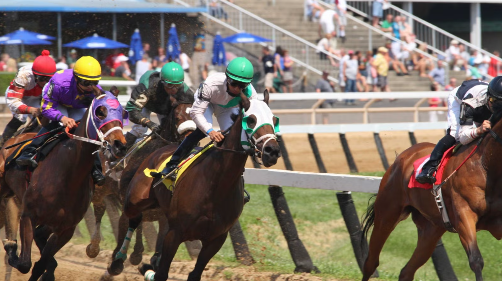 How to Stay Safe While Attending a Horse Racing Event