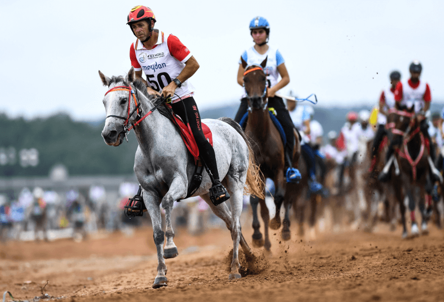 How to Train for Horse Racing: A Look at the Physical Preparation of Jockeys and Horses