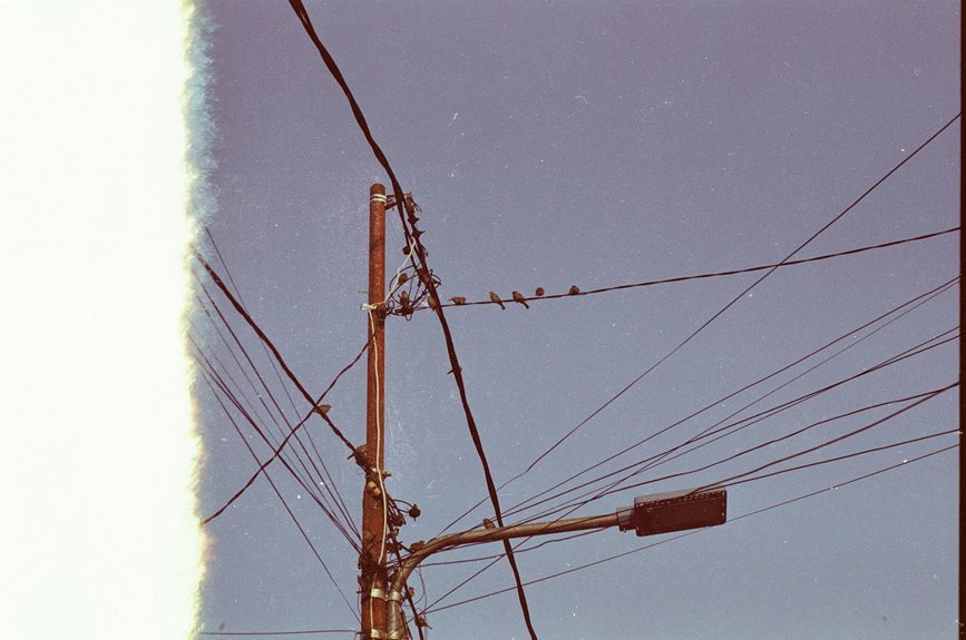 customer support inquiry line