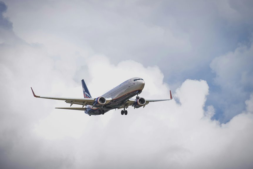 premium sector dynamics overview